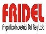Fridel